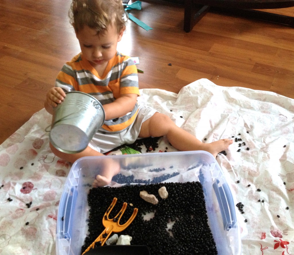 Sensory Fun: Gardening Sensory Bin - Our Potluck Family