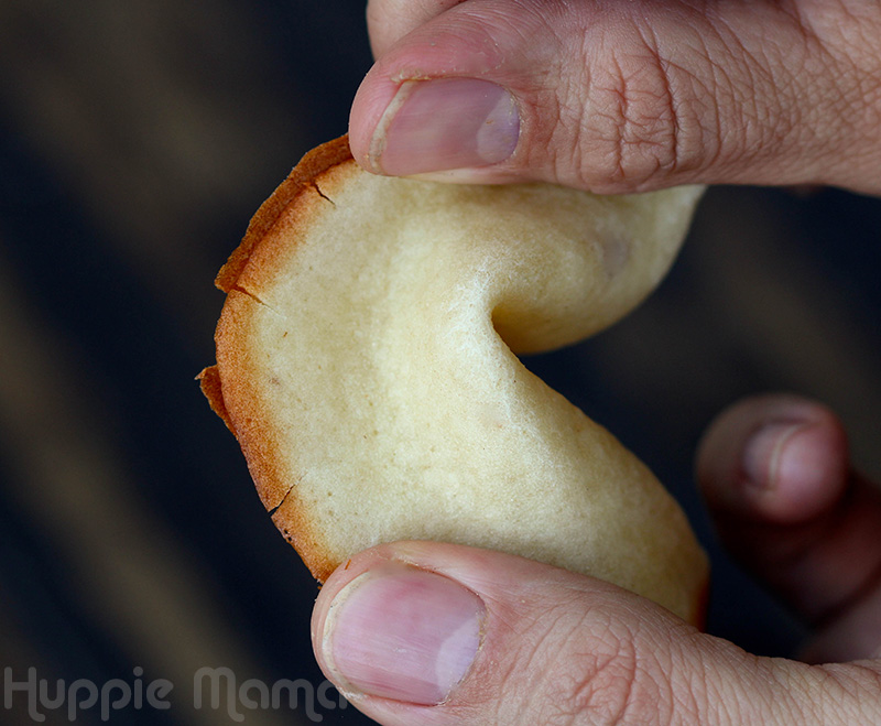 Chinese New Year Fortune Cookies Recipe - Our Potluck Family