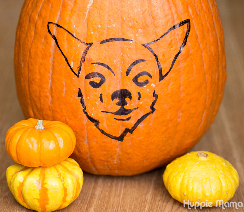 Dog Pumpkin Carving Pictures