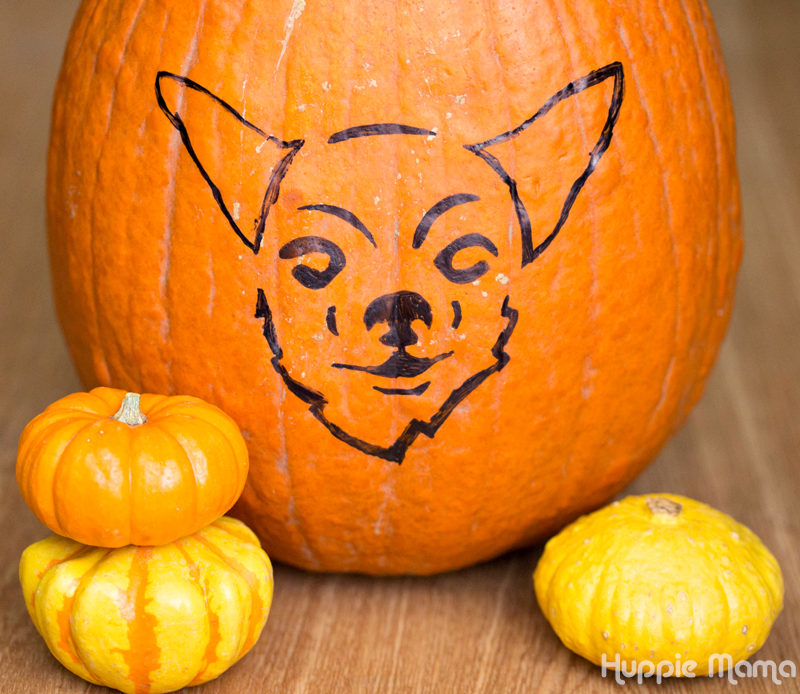 How To Carve A Dog Face On A Pumpkin