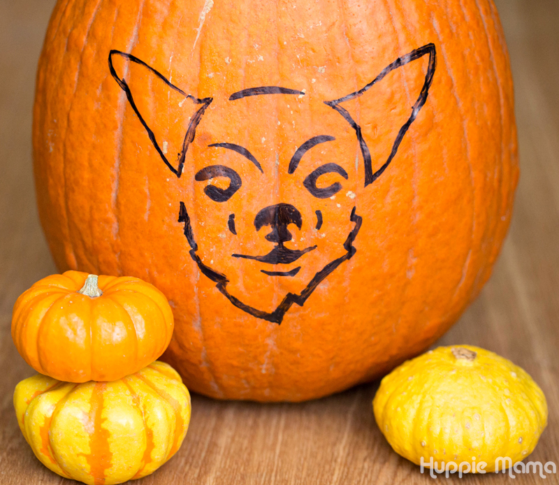 Carve A Dog Pumpkin Our Potluck Family