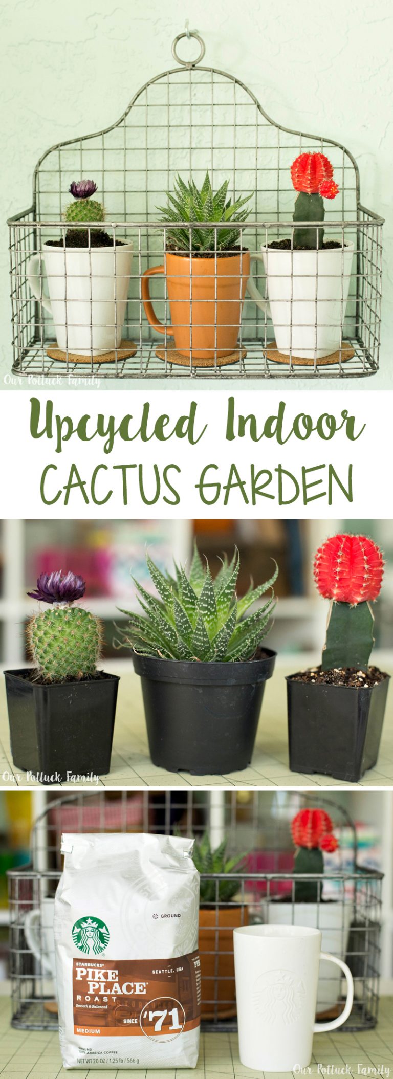 Upcycled Indoor Cactus Garden - Our Potluck Family