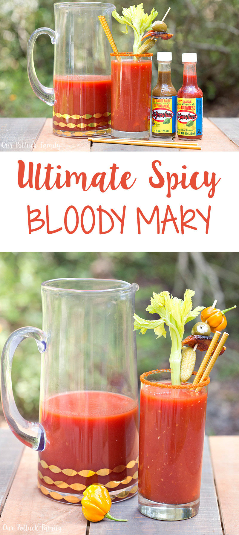 Ultimate Spicy Bloody Mary - Our Potluck Family