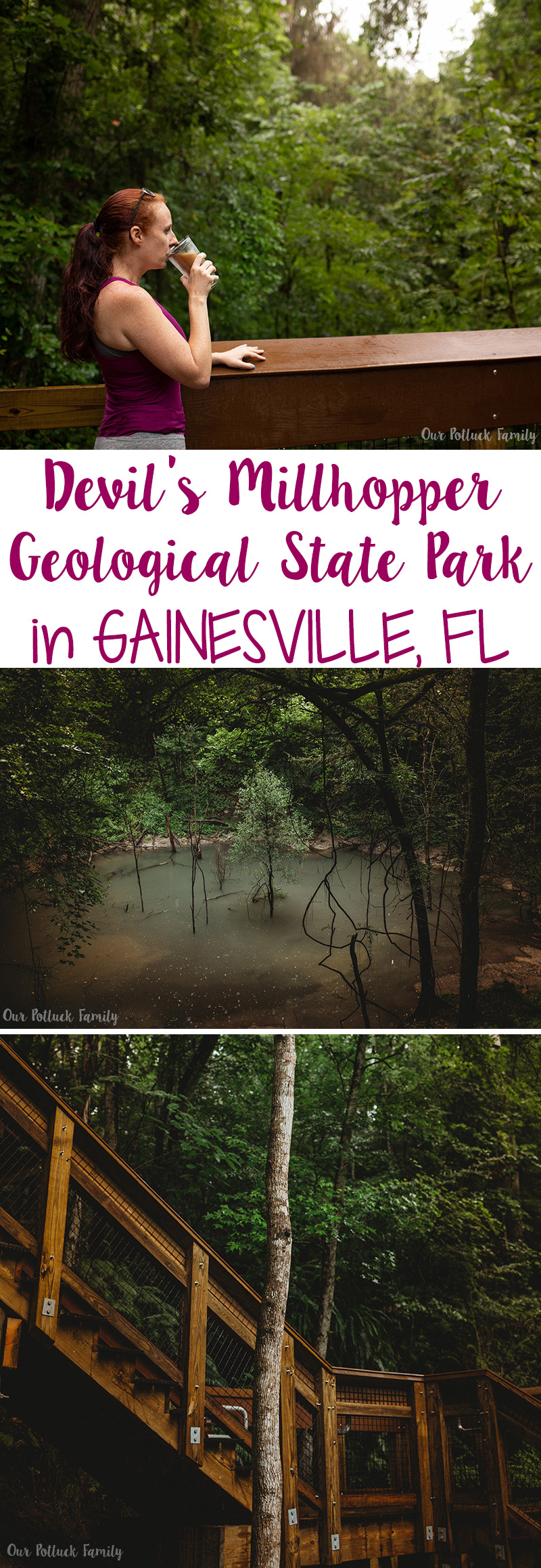 Devil's Millhopper Geological State Park in Gainesville, FL